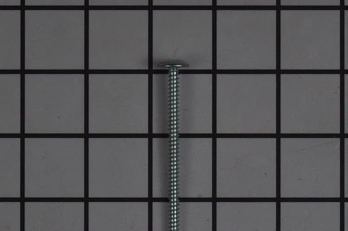 Screw