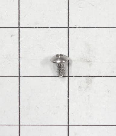 Screw