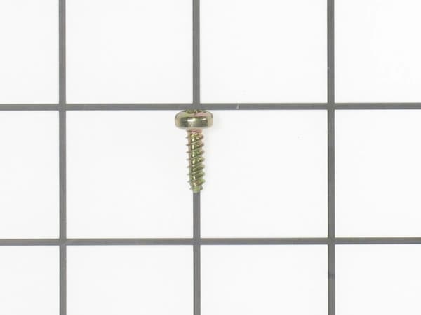 Screw