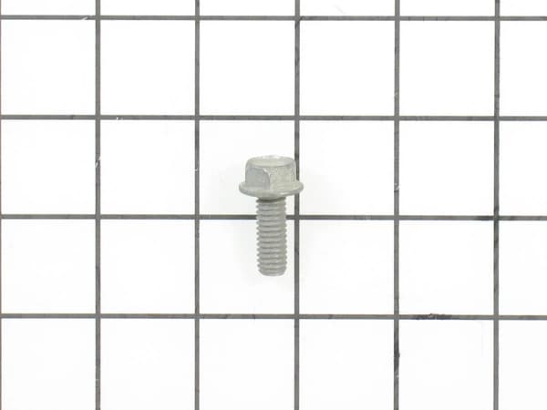 Screw