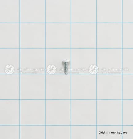 White Screw