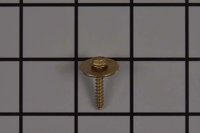 Screw