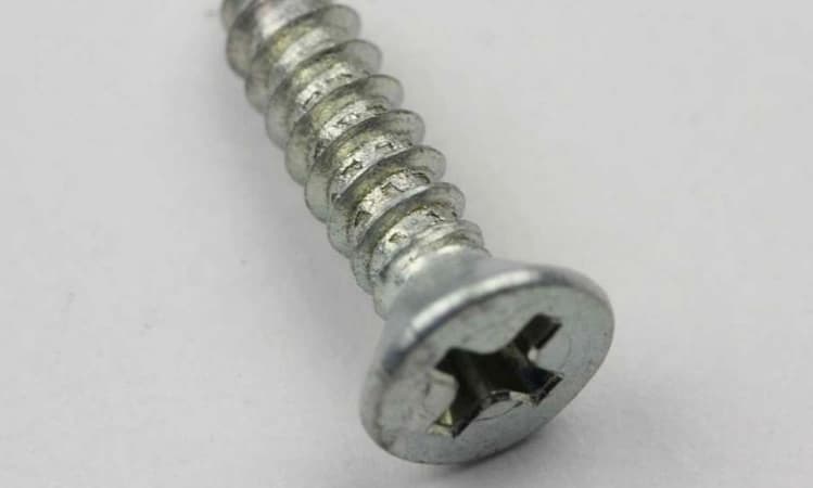 Screw