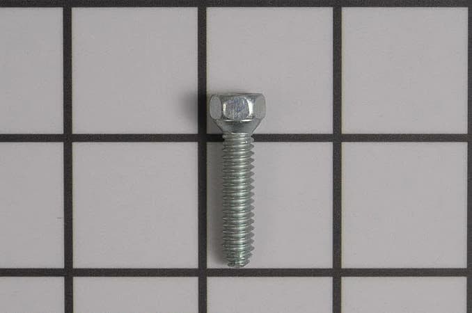 Screw