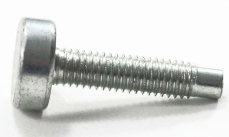 Screw