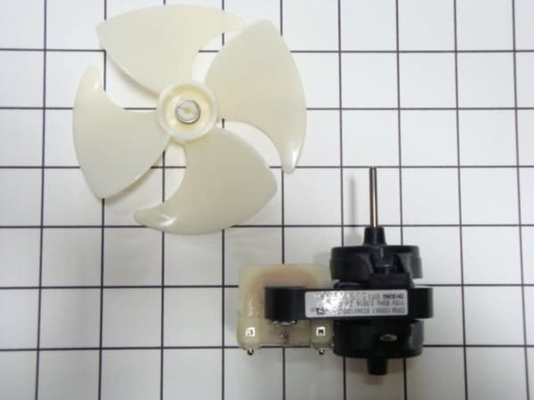 Evaporator Motor