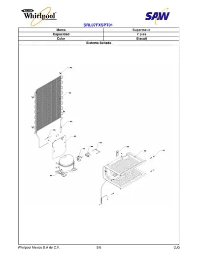 SECTION