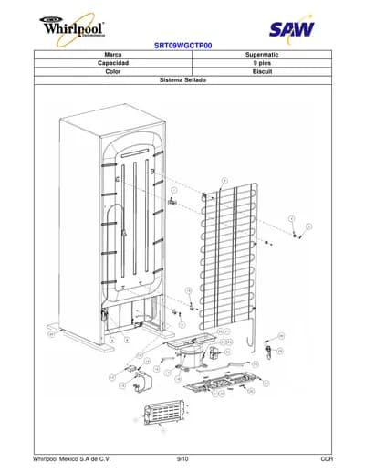 SECTION