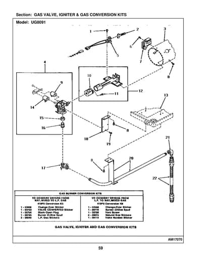 GAS VALVE, IGNITER & GAS CONVERSION KITS