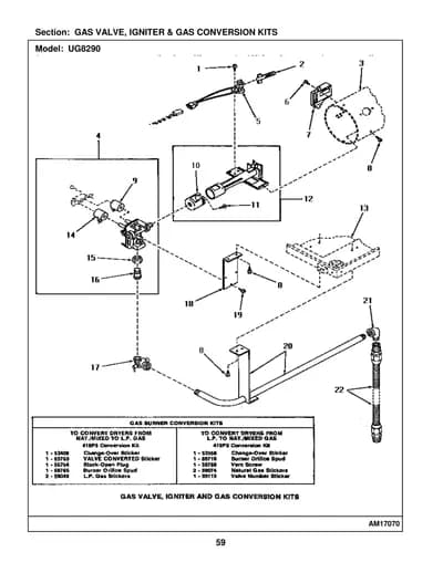 GAS VALVE, IGNITER & GAS CONVERSION KITS
