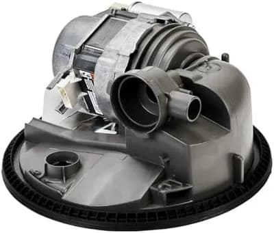 Pump and Motor
