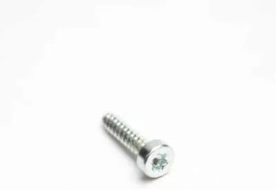 Torx Screw