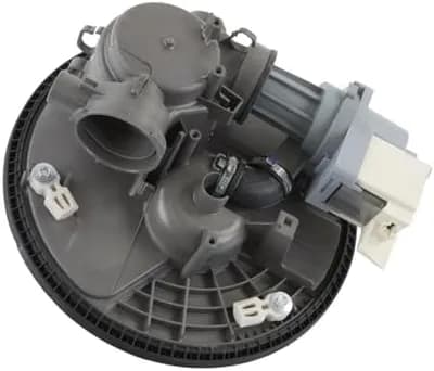 Pump and Motor