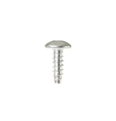 Main PCB Assembly Screw