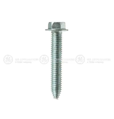 Screw