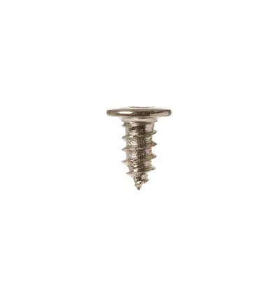 Mounting Screw