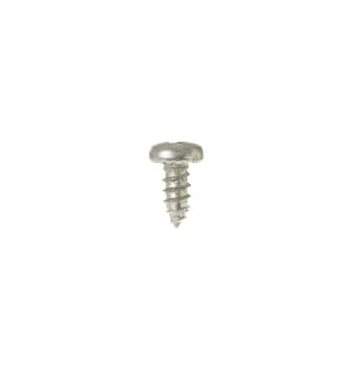 Screw