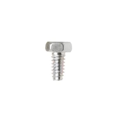 Screw