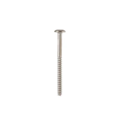 Screw