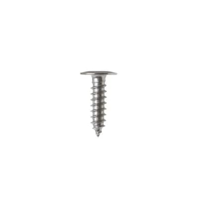 Screw