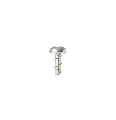 Screw 4-10 PL PNP 5/16 S5H