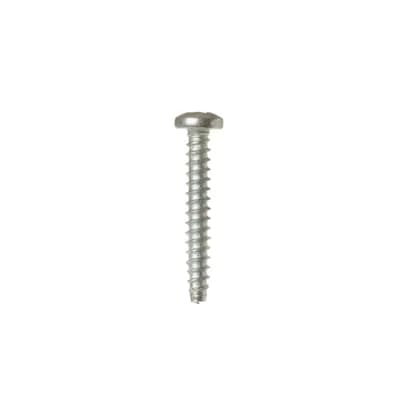 Stainless Steel Screw 4-10 PL PNP 3/4