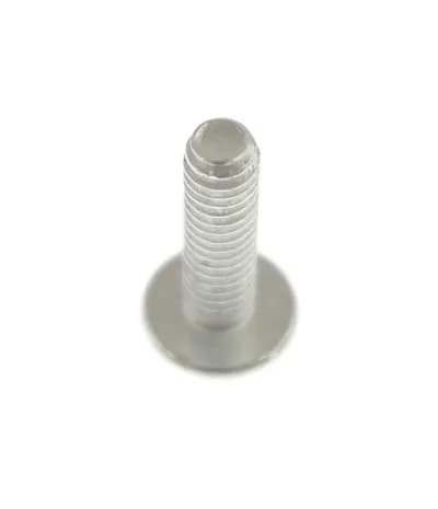 Screw