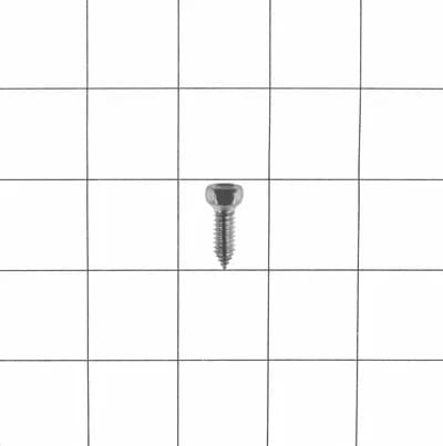 Screw