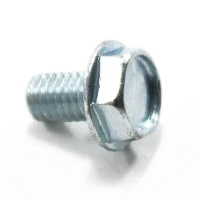 Screw