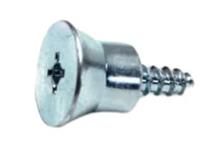 Screw