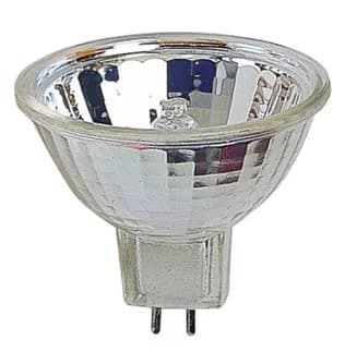Light Bulb