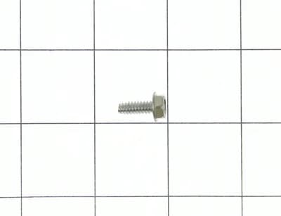 Screw