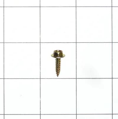 Screw