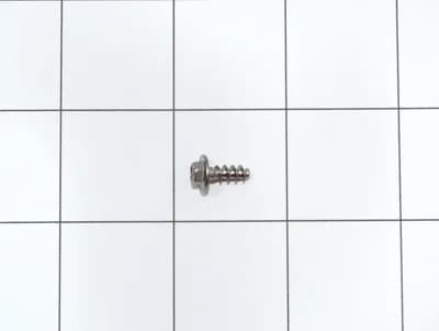 Screw