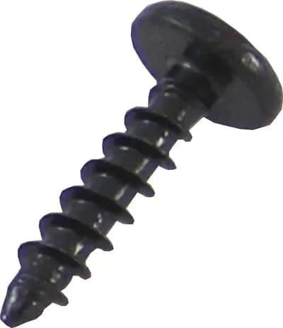 Screw