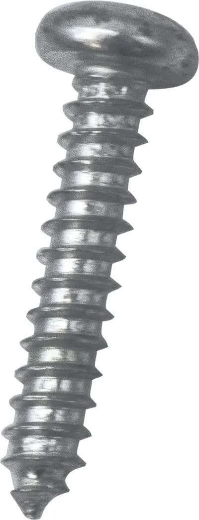 Screw T20 PN Zn Type B #8-3/4