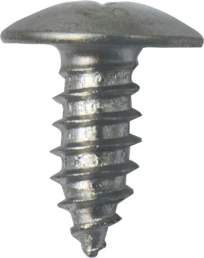 Screw