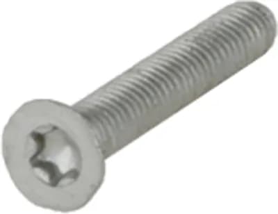 Pan Head Screw M4x25 Tx20 For Rap Burner