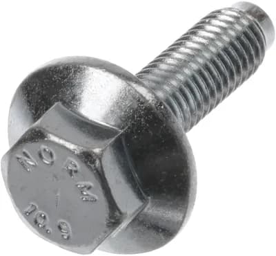 Screw