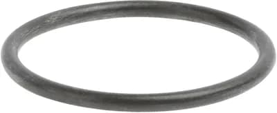 Sealing O-Ring 66x5mm For Water Softener (1 Piece)