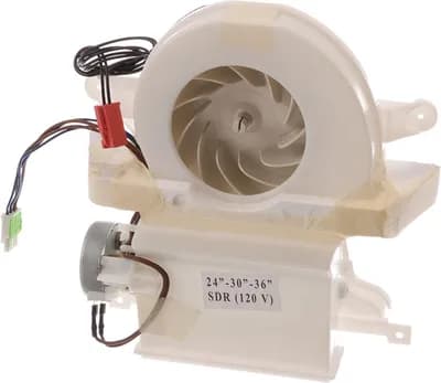 Fan Motor