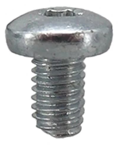 Screw