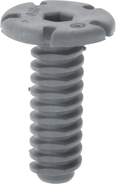 Foot
