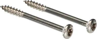 Screw