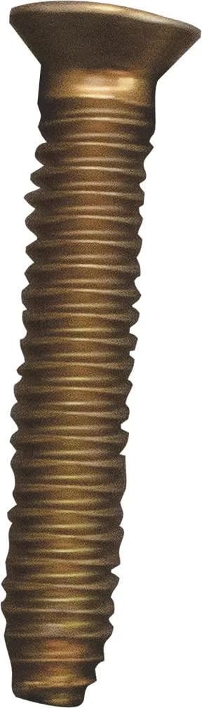 Screw