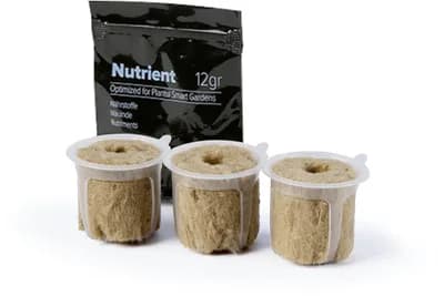 Experimental Kit: 3 Capsules Without Seeds