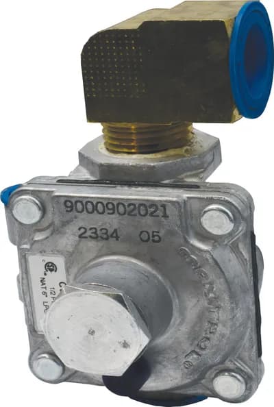 Dual Outlet Regulator, Gas