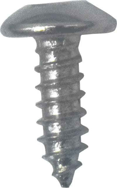 Screw