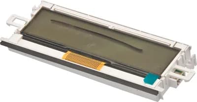 Display Module