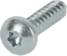 Screw 4,8x19 T20 Wo/P ZN